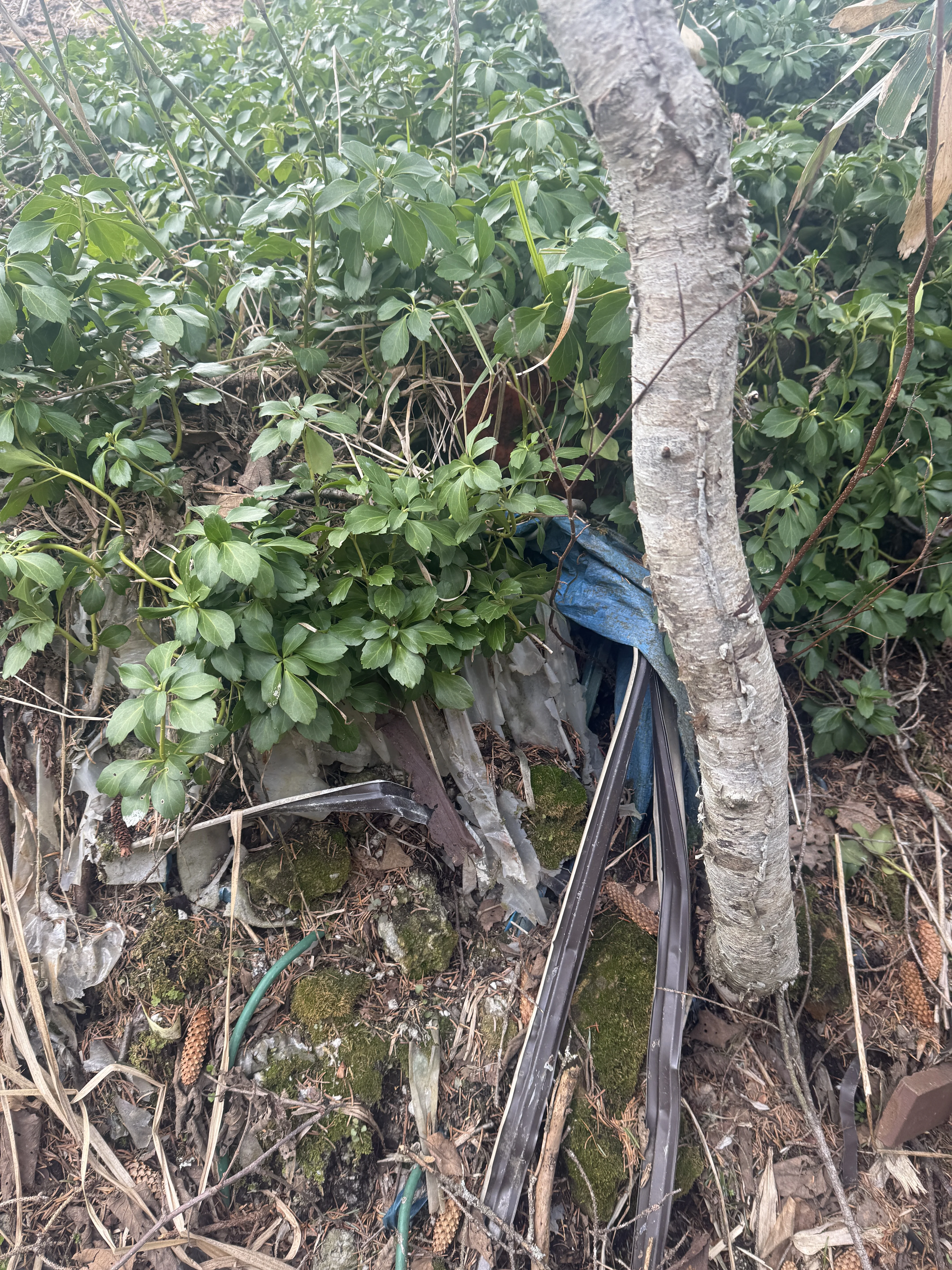 old construction debris and trash on a steep hillside by the stream