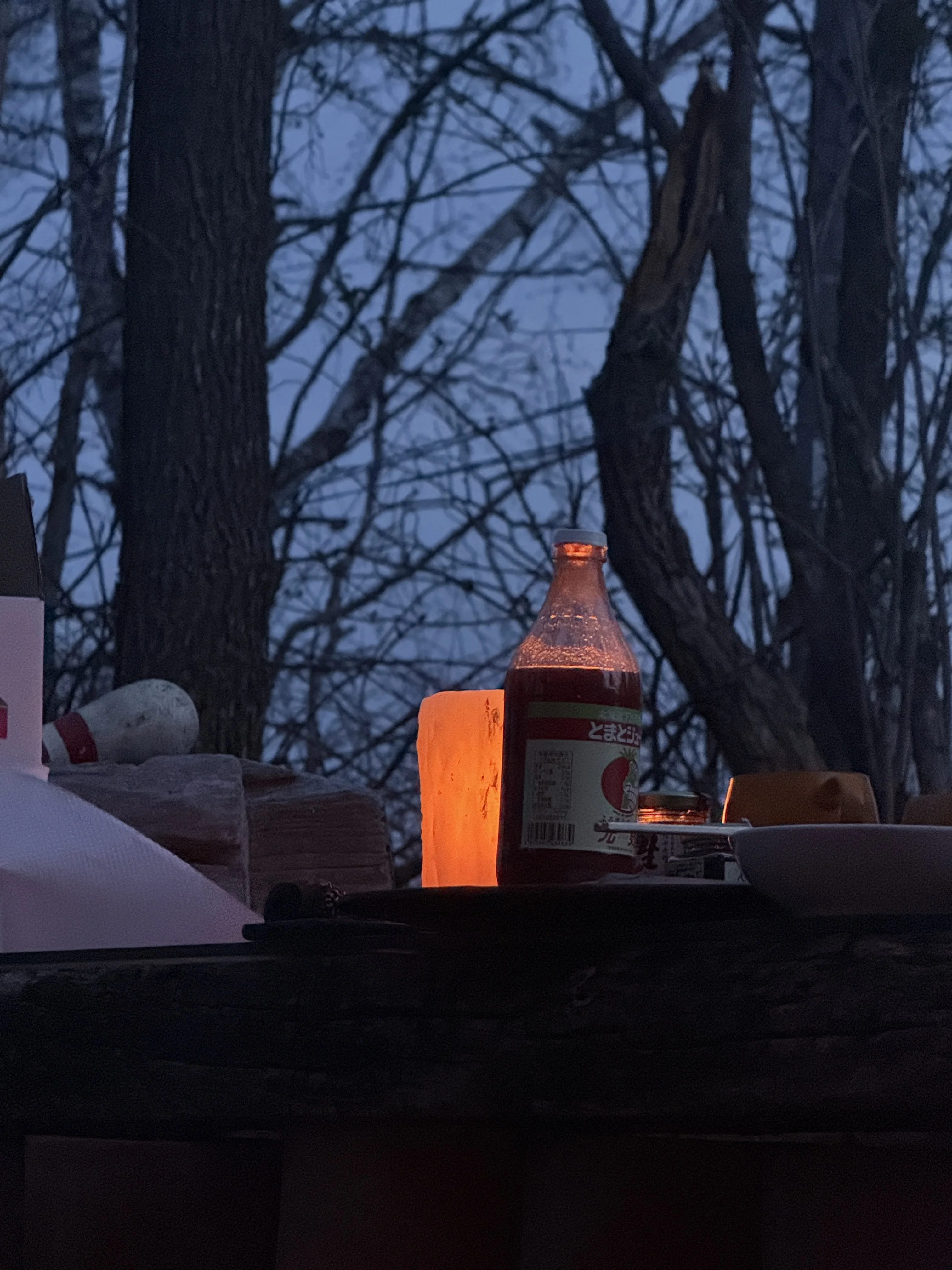 evening window scene with candlelight and drinks by the trees